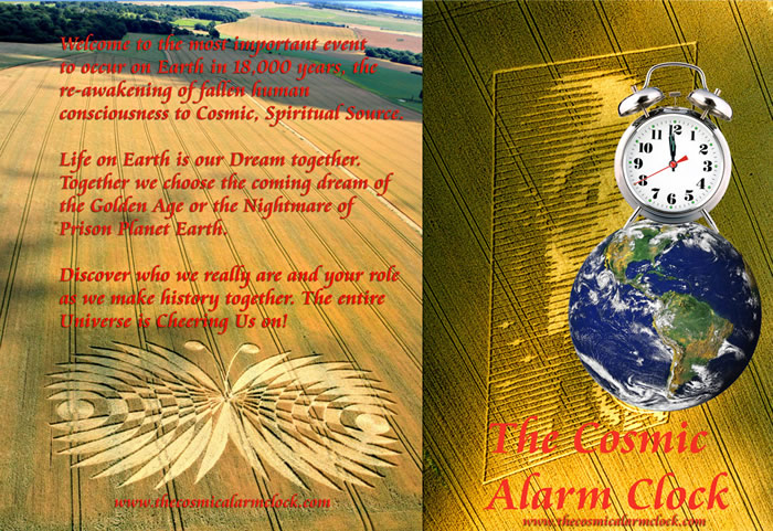 e-book, ebook, Ebook, audio book, audio, spoken book, speaking, hearing impaired, spoken, read by the author, read, spirituality, spiritual awakening, fire the gird, shelley yates, oprah winfrey, bankers, banking, transcendant consciousness, human, mayan calendar, globalization, AmmaBhagavan, Deeksha, Diksha, oneness blessing